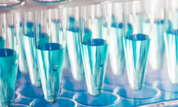 test tubes filled with blue liquid lined up in a rack